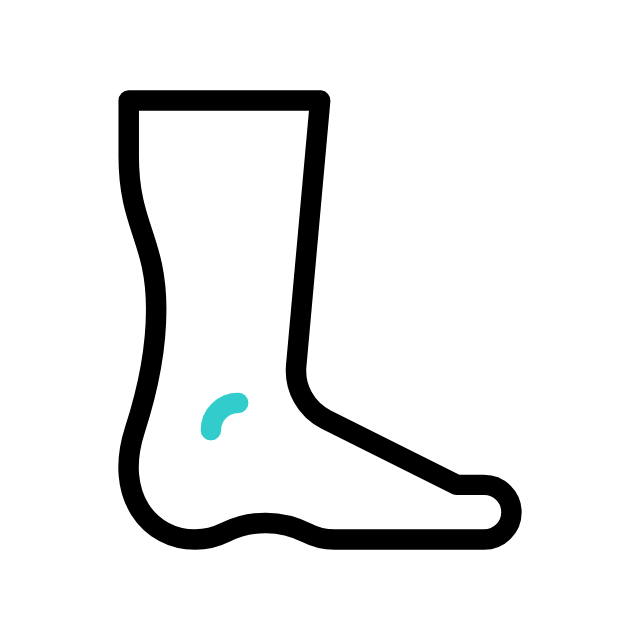 גפיים תחתונות