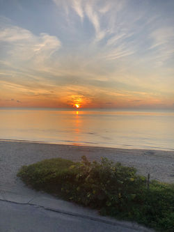 IMG_1224.jpeg