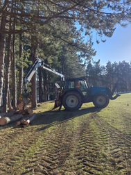 Tractor removing old wood