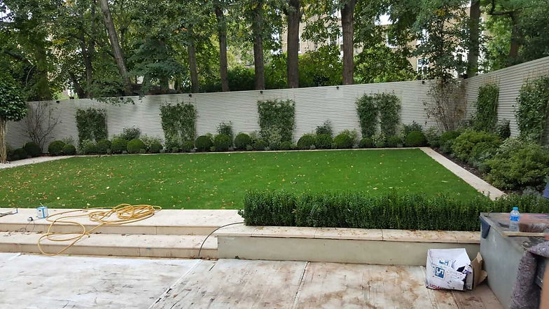 Garden Makeover.JPEG