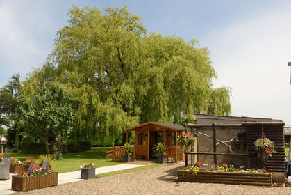 Home grounds