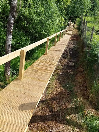 rural timber path and fence