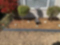 House with decorative woodchip