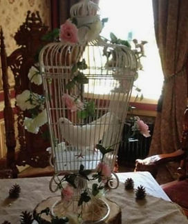 Dove ready for release