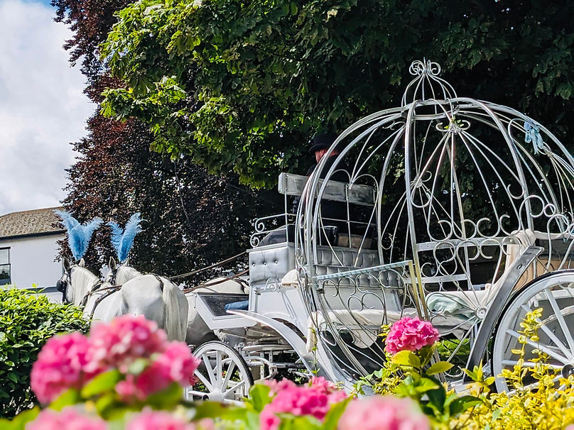 Cinderella carriage being pulled by white horses