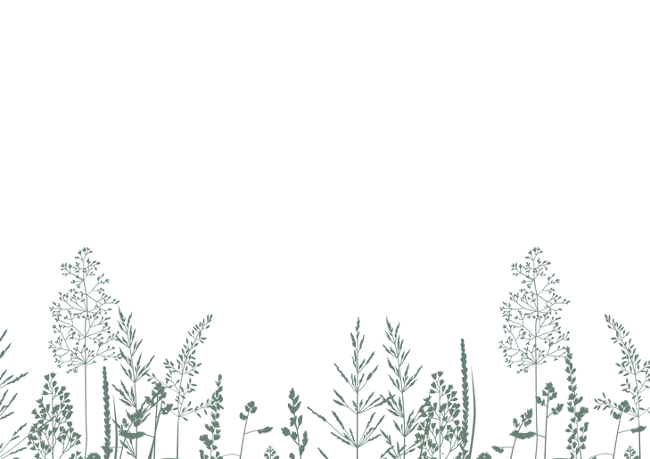 Meadow grass background