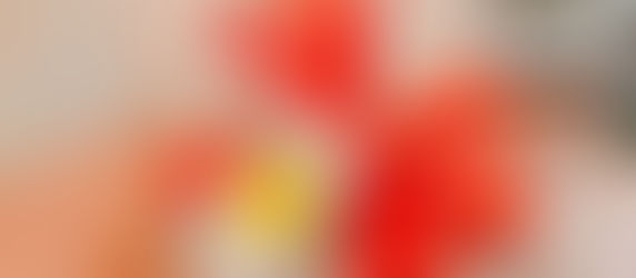 Creación de diseño de libreta y packaging. 