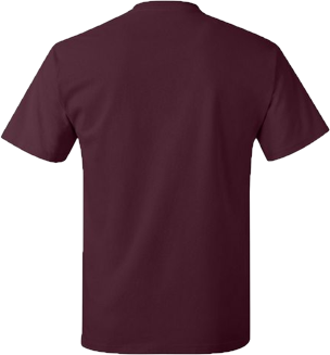 Thumbnail: Hanes Authentic T-Shirts