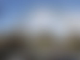 TRIPLE BUYOUT FOR CITY FIRM; Expansion for group behind the Big Dig