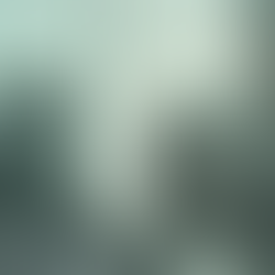 Alton Maddox, Attorney at War! Sunrise, July 21, 1945 -Sunset, April 25, 2023