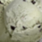Mint Choco Chip