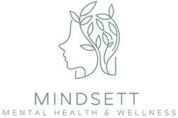 Mindsett Mental Health & Wellness business logo