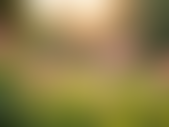 Practical Tips for Enhancing Mental Health