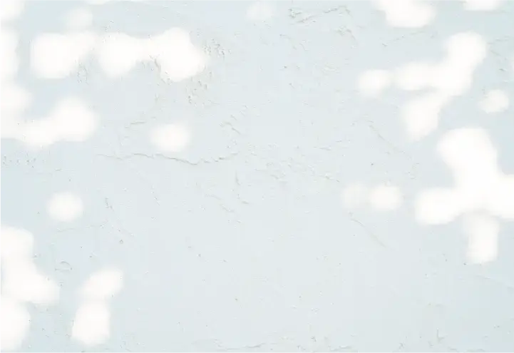 アセット 57_2x.webp