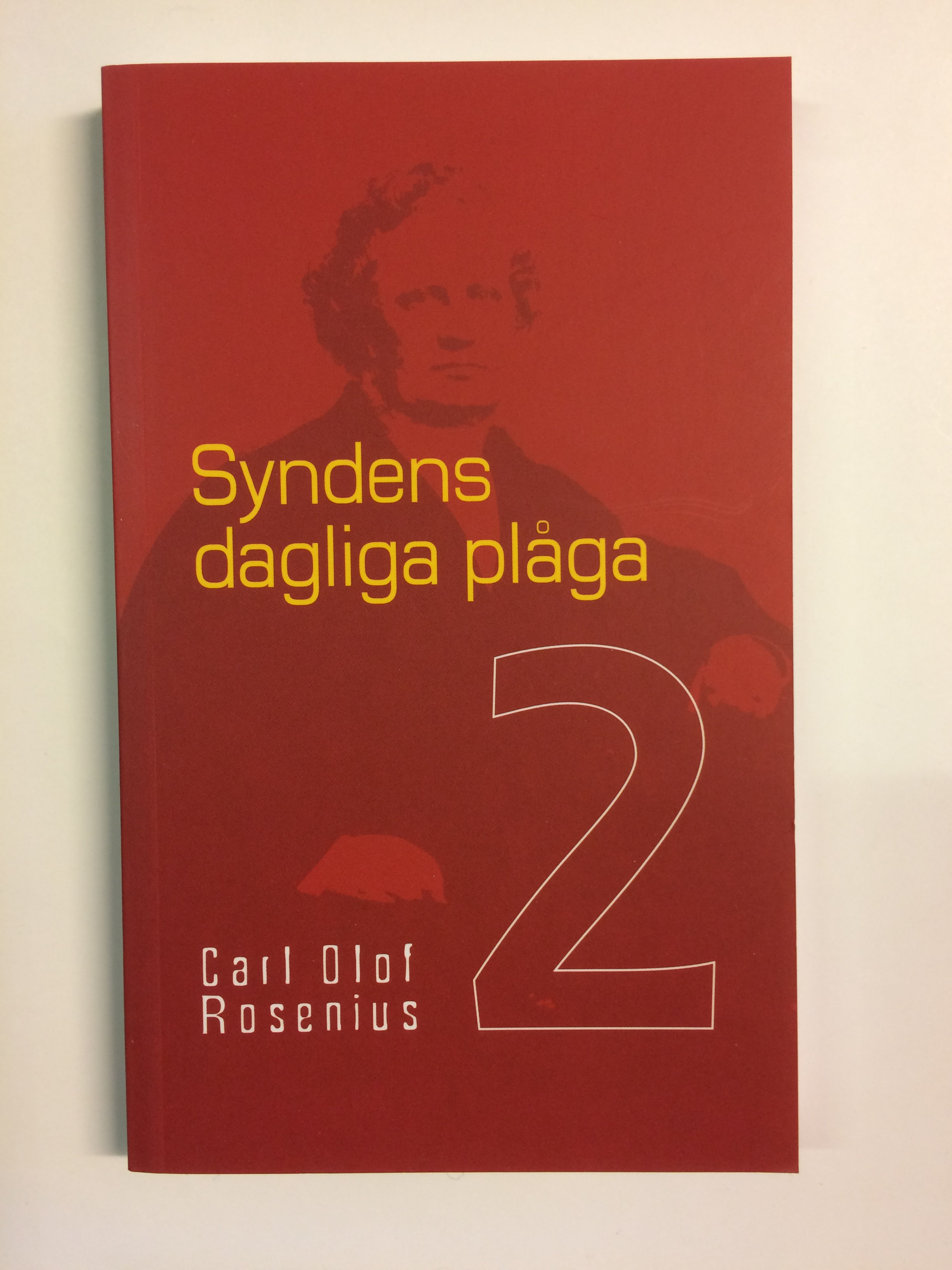 Syndens dagliga plåga