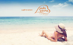 banner5