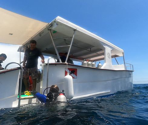 catamaran.jpeg