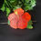 Miniature : Barrette Hibiscus