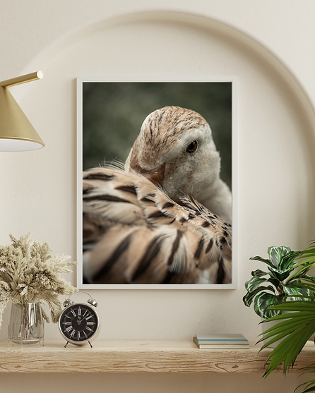 White and Cream Minimalist Photo Frame Mockup Instagram Post.png