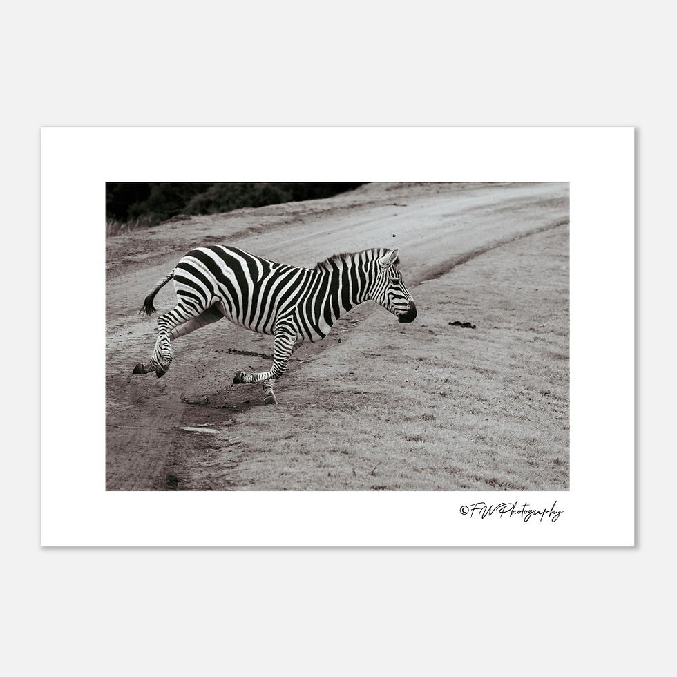 Thumbnail: Running Stripes