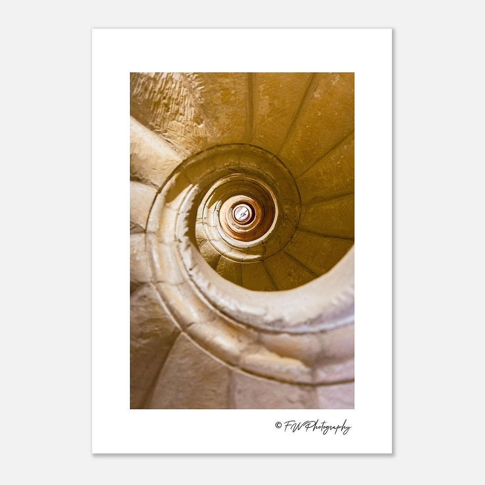 Thumbnail: "Architectural Flow"