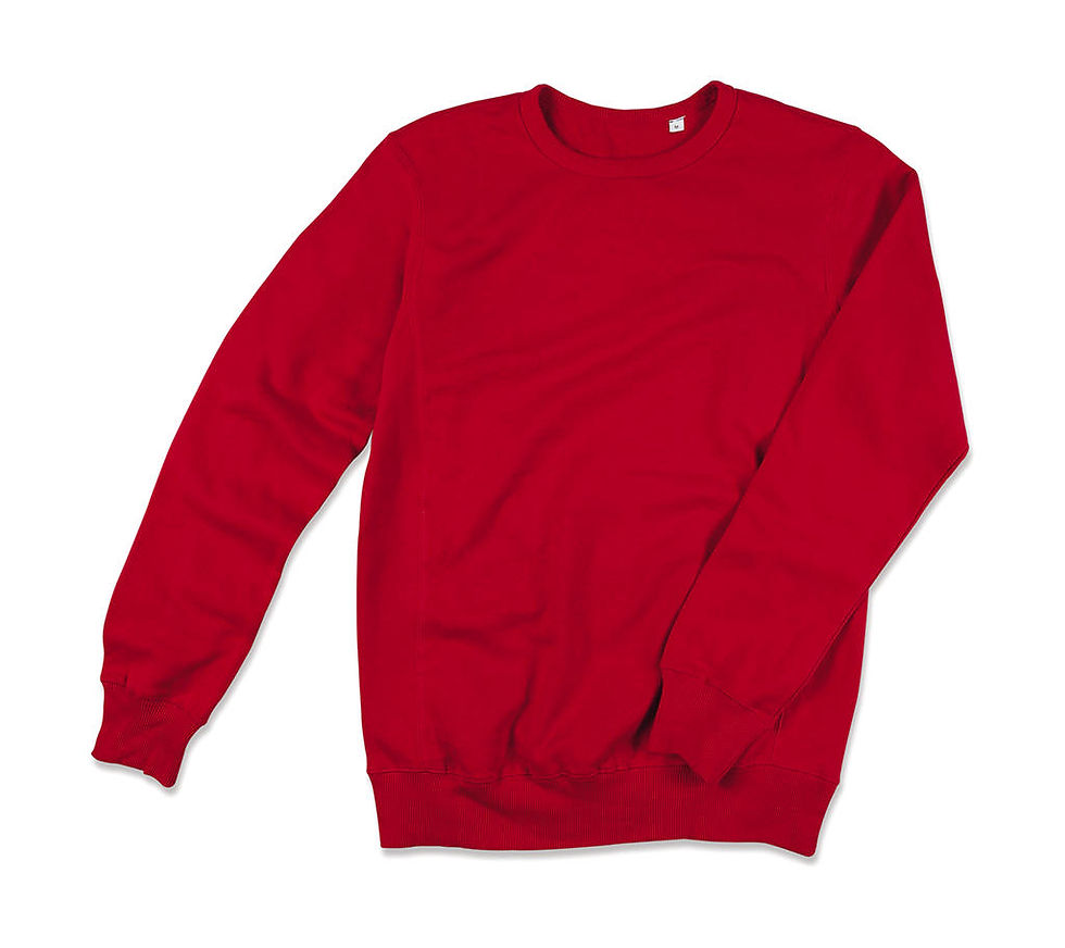 Miniatura: Bluza Active