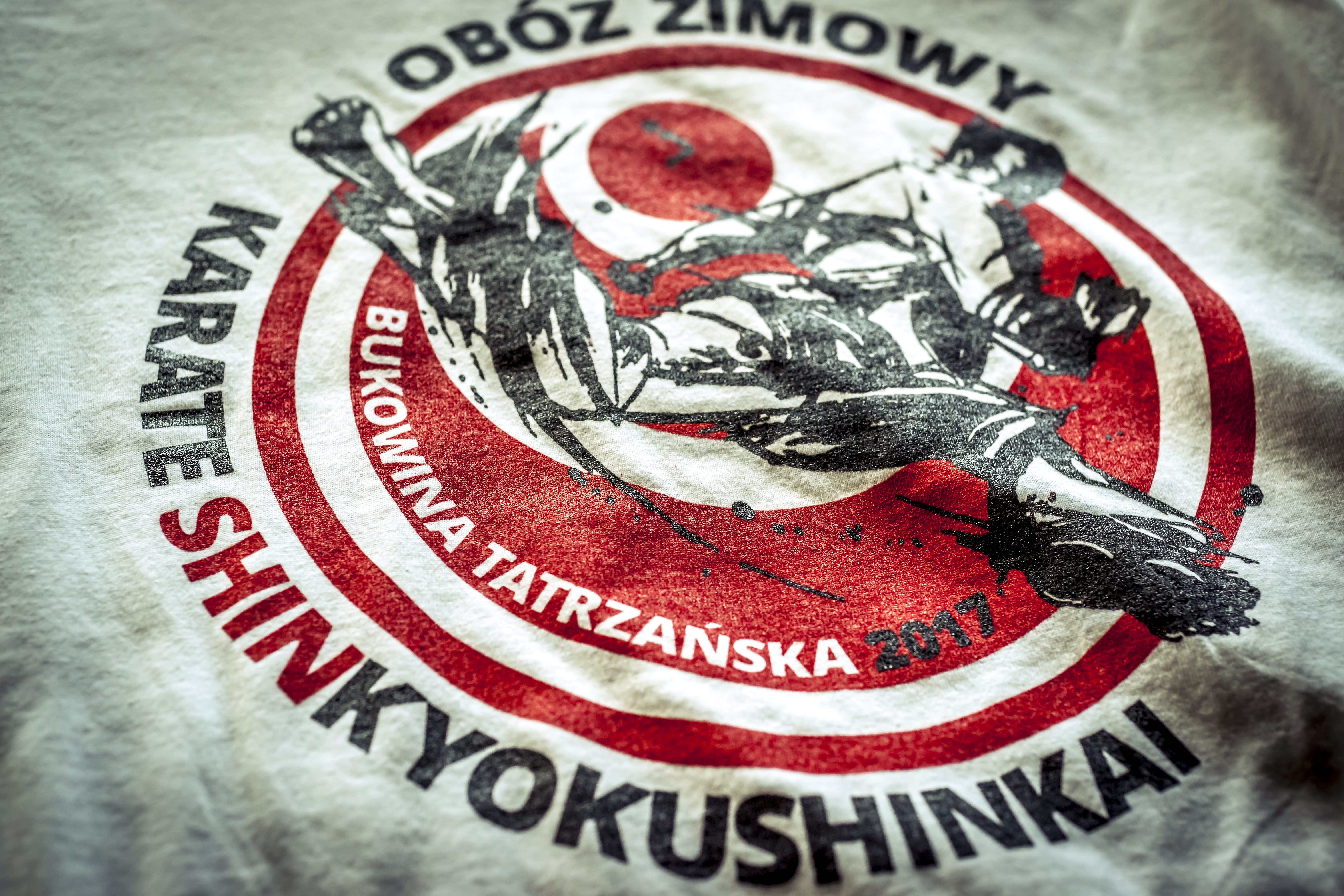 Screen printing on a T-shirt