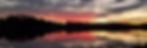 sunset over the forest