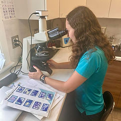 522197232_1330864472378410_6929865596933462793_n (1).jpg