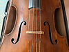 Front of a cello showing f-holes, bridge, and strings
