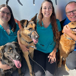 484495509_4046317075653784_5351112432769510329_n (1).jpg