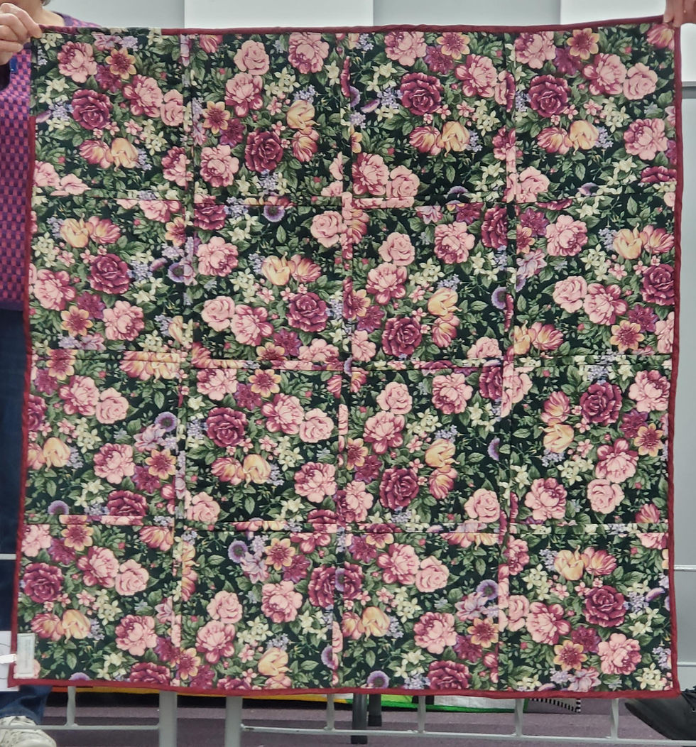 Anna Cornel - Velvet Quilt Back