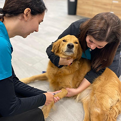 488504892_1230324595765732_63069201372408529_n (1).jpg