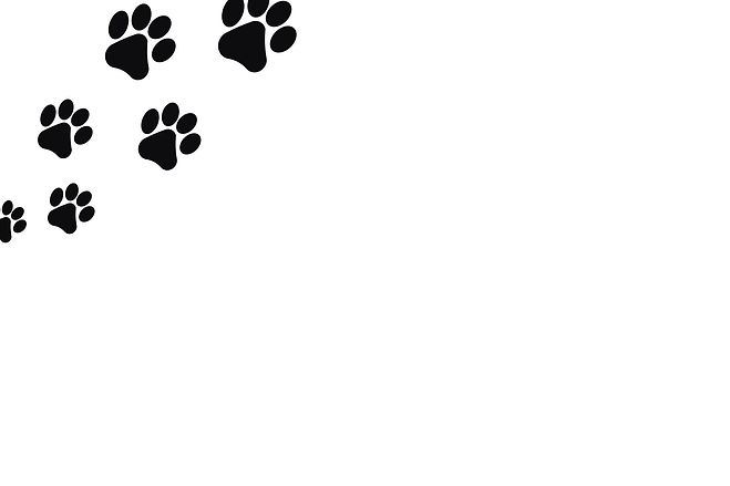 Untitled design (1)_edited.jpg