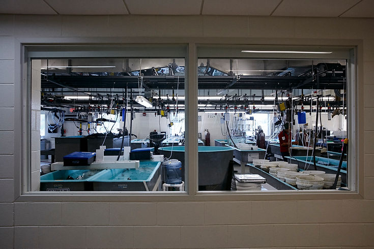 laboratory through a window .jpg