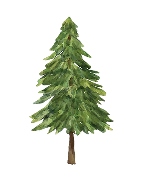 TREE_edited.png