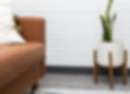Brown leather couch and snake plant in white pot