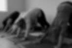 People practicing downward dog yoga