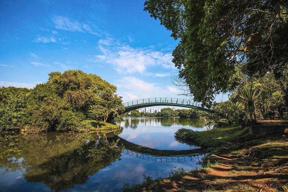 SP+Verde: um chamado à ação para o desenvolvimento sustentável