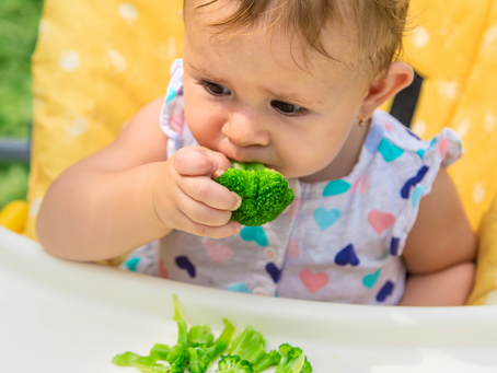 Os primeiros passos para a introdução alimentar do seu um bebê
