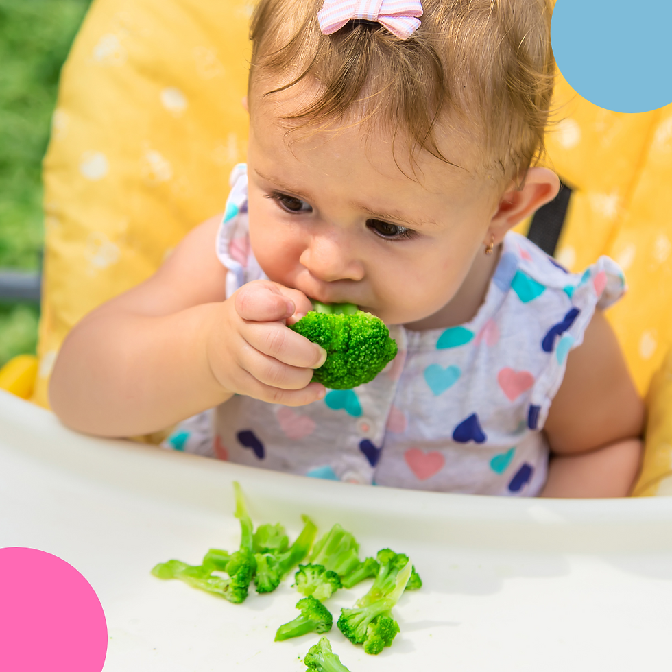 Bebê menina sentada em cadeira de alimentação comendo brócolis