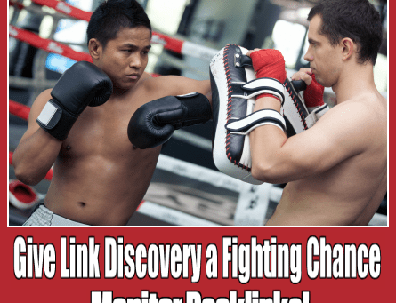 Give Link Discovery a Fighting Chance with Monitor Backlinks