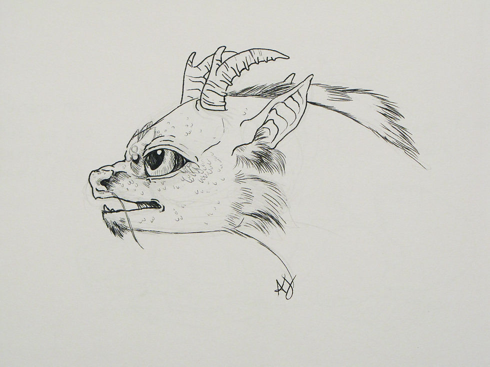 Eastern Dragon Hatchling Head