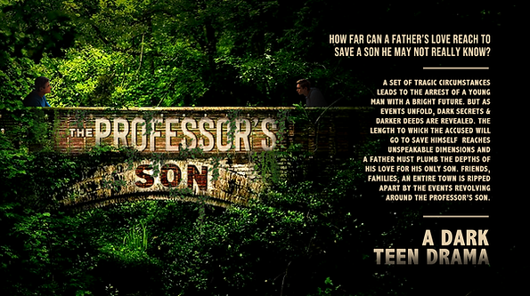 The Professor's Son Cover.PNG