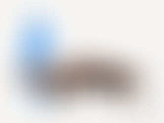 海牛目和鰭足類差很多