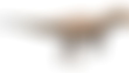 脆弱異特龍（Allosaurus fragilis）