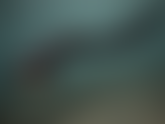 微小欣德刺（Hindeodus parvus）