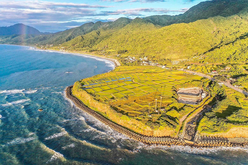 新社梯田、太平洋與海岸山脈（圖片來源：WU PEI HSUAN，採用 CC BY-SA 4.0 授權。）