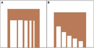 Schematic diagram of openings with different heights and widths（Image source：Pongrácz, P. (2024).， CC BY-NC 4.0 ）