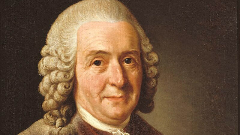 學名使用與相關名詞簡介